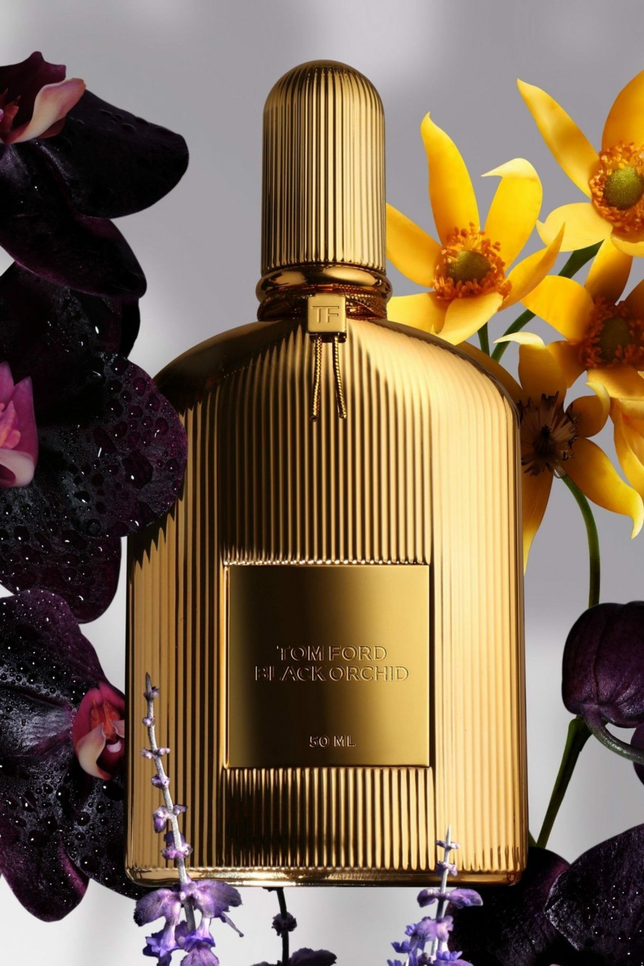 Perfumes * | Tom Ford Black Orchid Parfum Fashion