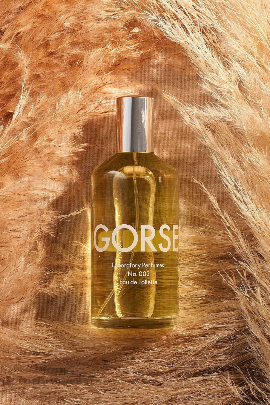 Toilette * | Laboratory Perfumes Gorse Eau De Toilette, 100Ml Latest Fashion